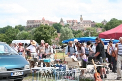 La Grande Fouille 2012 - Rougemont (134)